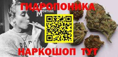 ALPHA PVP Будённовск