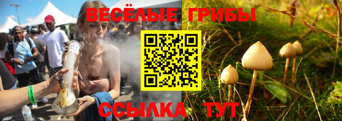 Раменское  Галлюциногенные грибы Magic Shrooms  Галлюциногенные грибы Psilocybine cubensis  Вход с VPN 